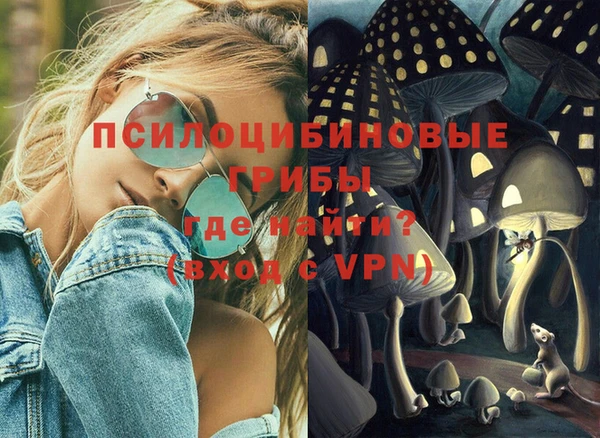 сатива Верхнеуральск