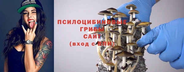 не бодяженный Верхний Тагил
