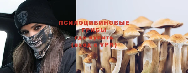 не бодяженный Верхний Тагил
