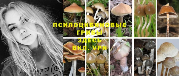 мескалин Верея